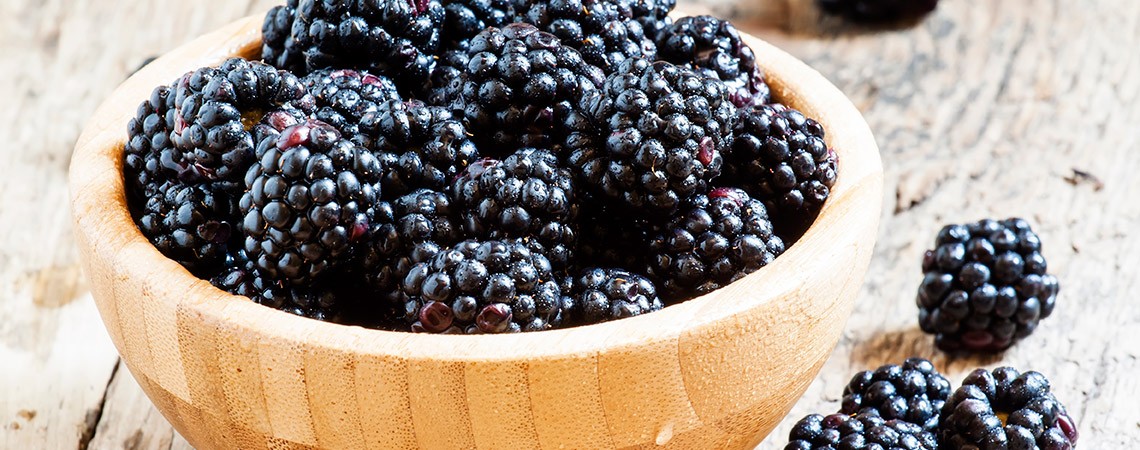 Brombeeren Rezepte