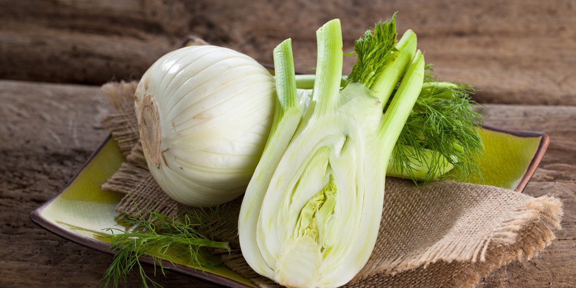 Fenchelrezepte