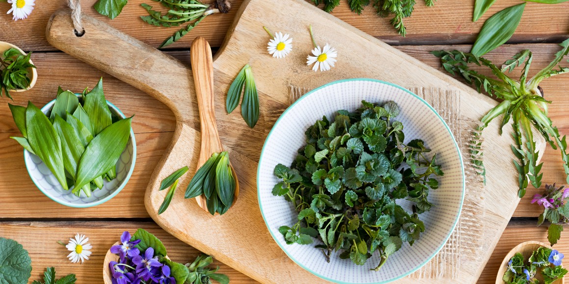 Wildkräuter Rezepte