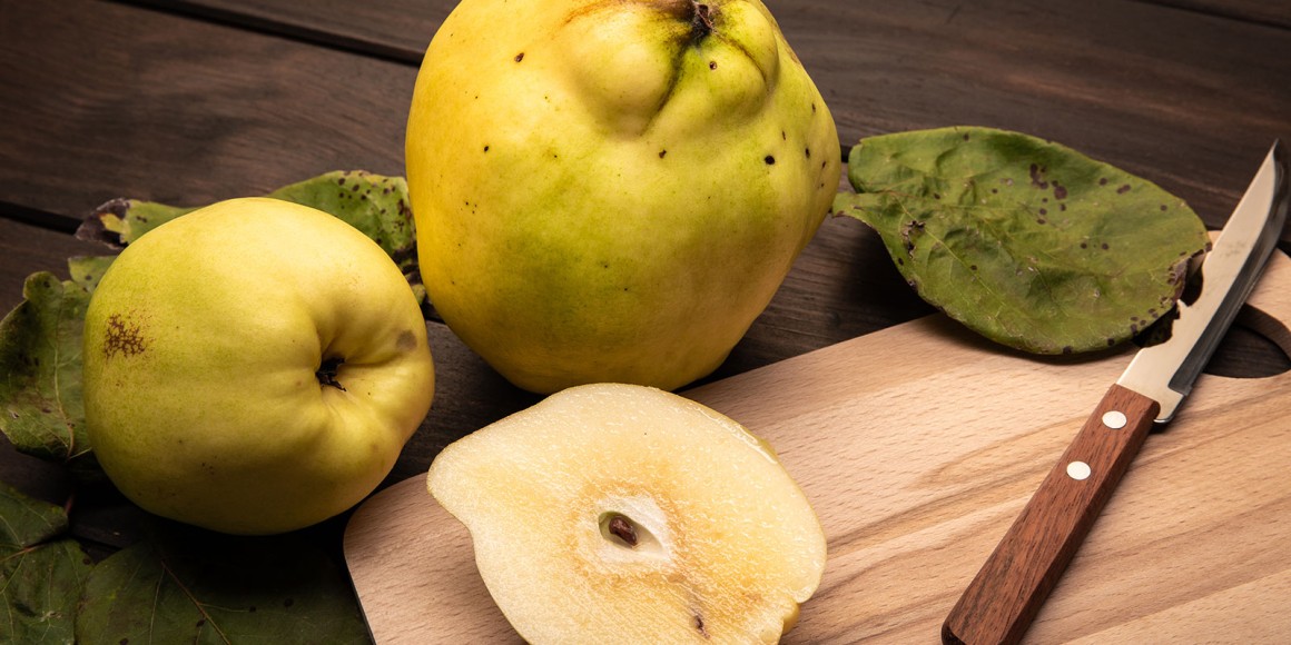 Quitten Rezepte