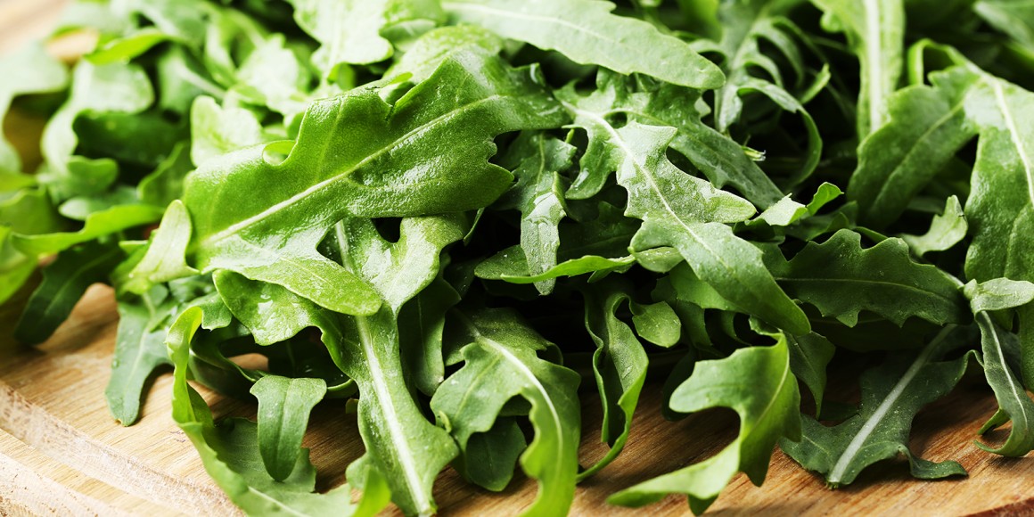 Rucola Rezepte