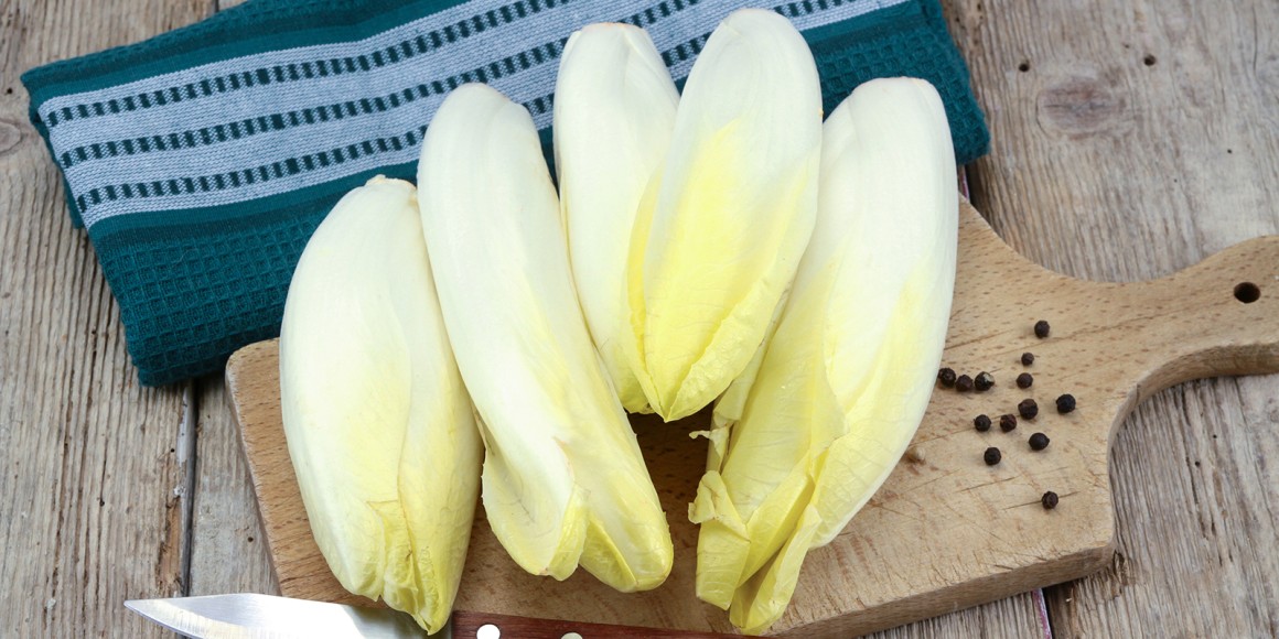 21 Rezepte zu Chicorée - Gemüse