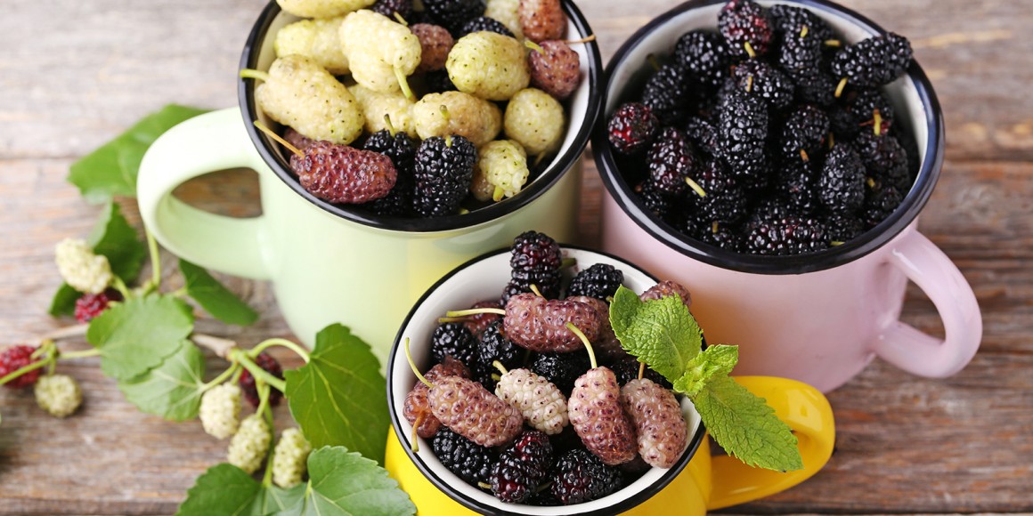 Maulbeeren Rezepte