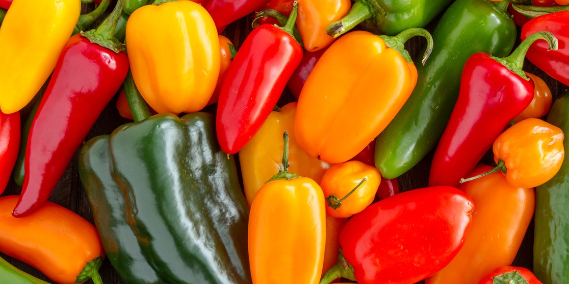 Chilischote Rezepte