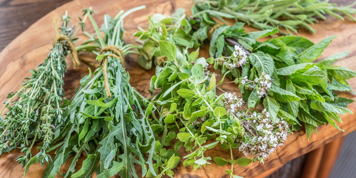 Kräuter Rezepte