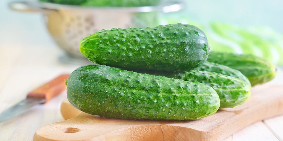 Gurken Rezepte