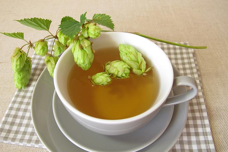 Hopfen-Tee