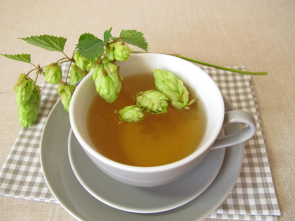 Hopfen-Tee