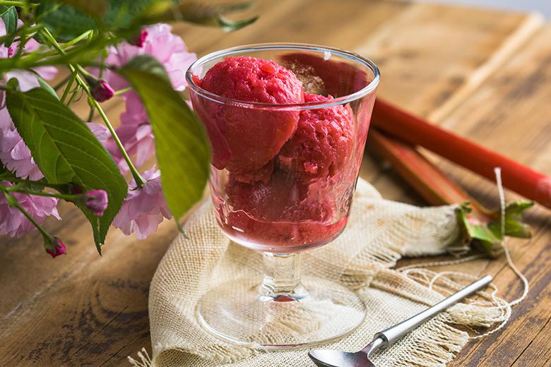 Rhabarbersorbet