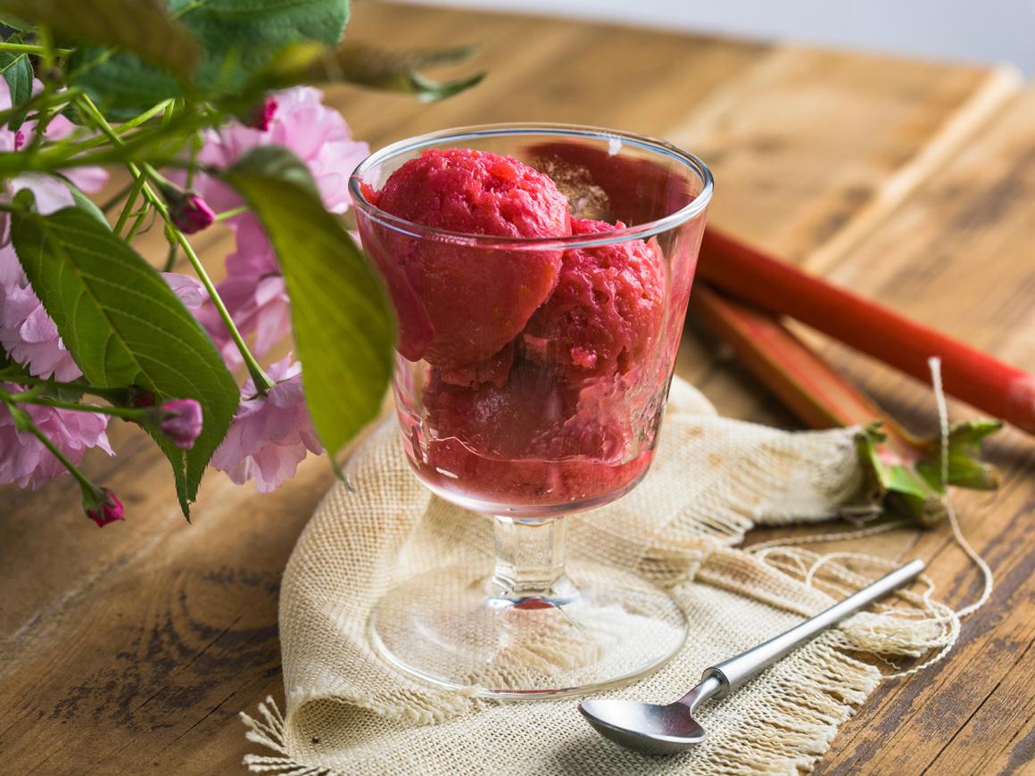 Rhabarbersorbet