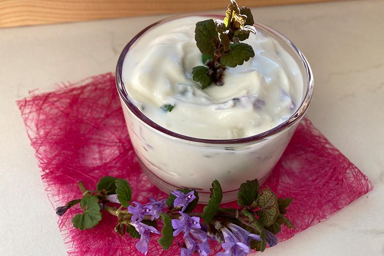 Frischkäseaufstrich mit Gundermann