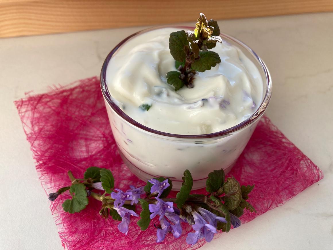 Frischkäseaufstrich mit Gundermann