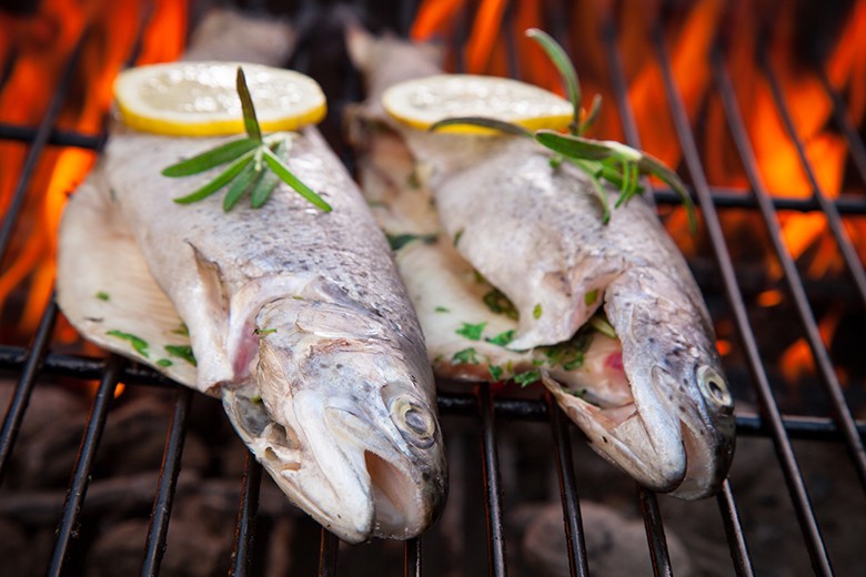 Gegrillte Forelle