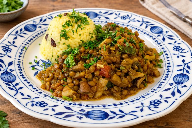 Linsen-Pilz-Cury