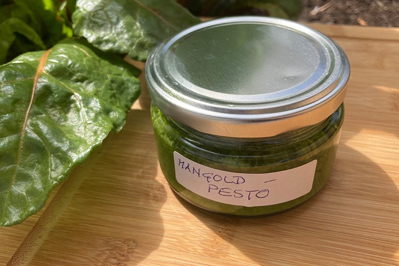 Mangoldpesto
