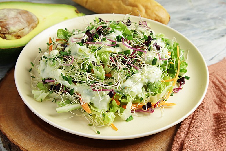 Sprossen-Avocado-Salat
