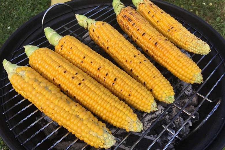 Gegrillter Maiskolben