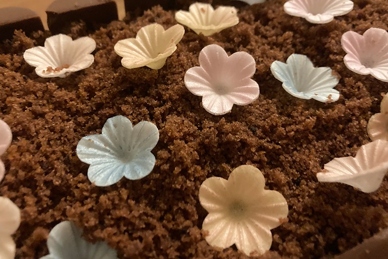 Blumenerde-Kuchen