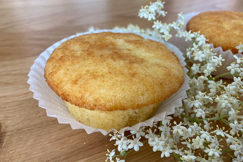 Holunder-Muffins