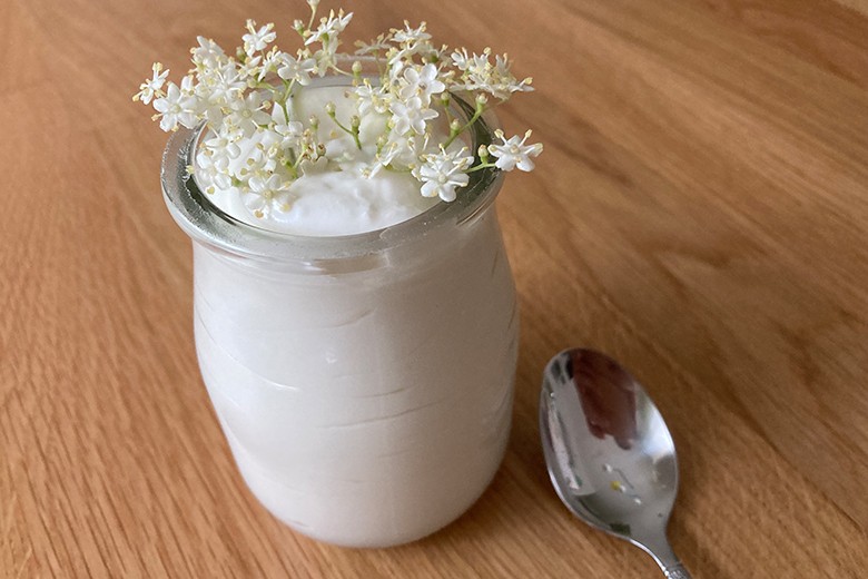 Holunderblütenmousse