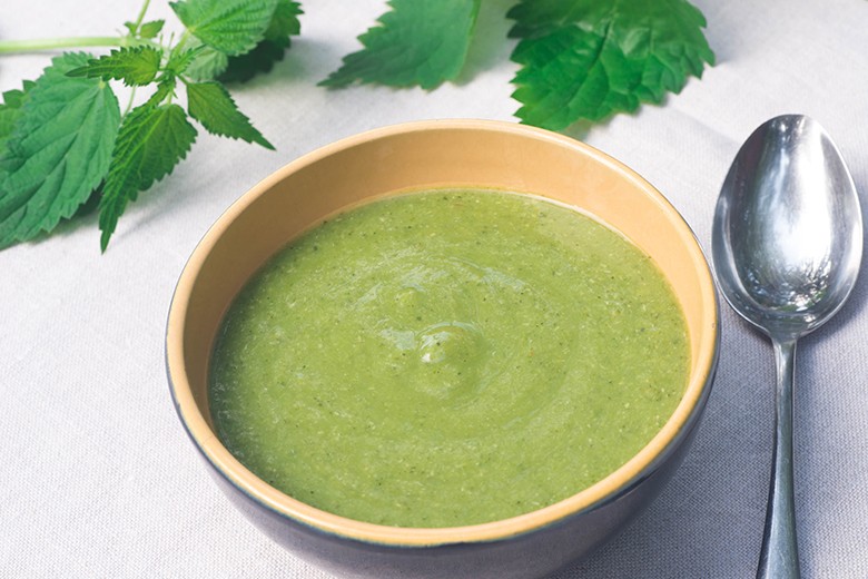 Brennnesselcremesuppe mit Sahne