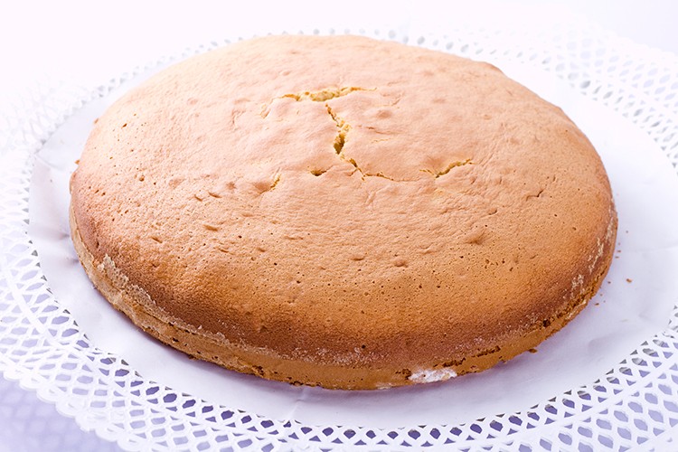 Bisquitboden mit Haselnüssen