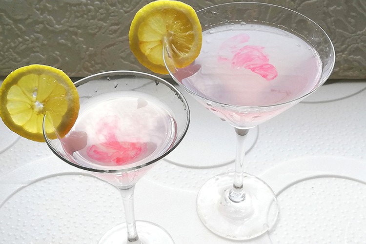 Bacardi Cocktail