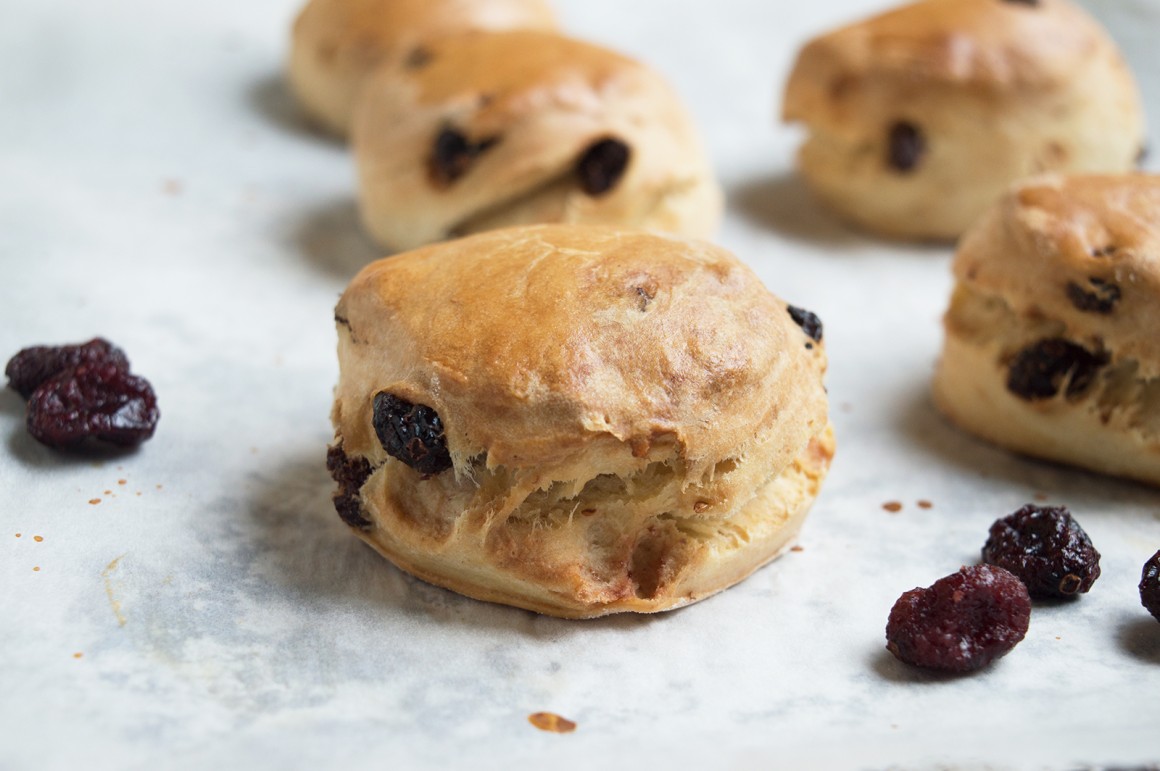 Cranberry Scones