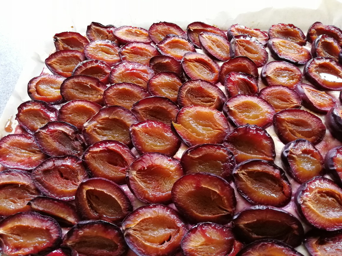 Pflaumenkuchen mit Quark-Öl-Teig