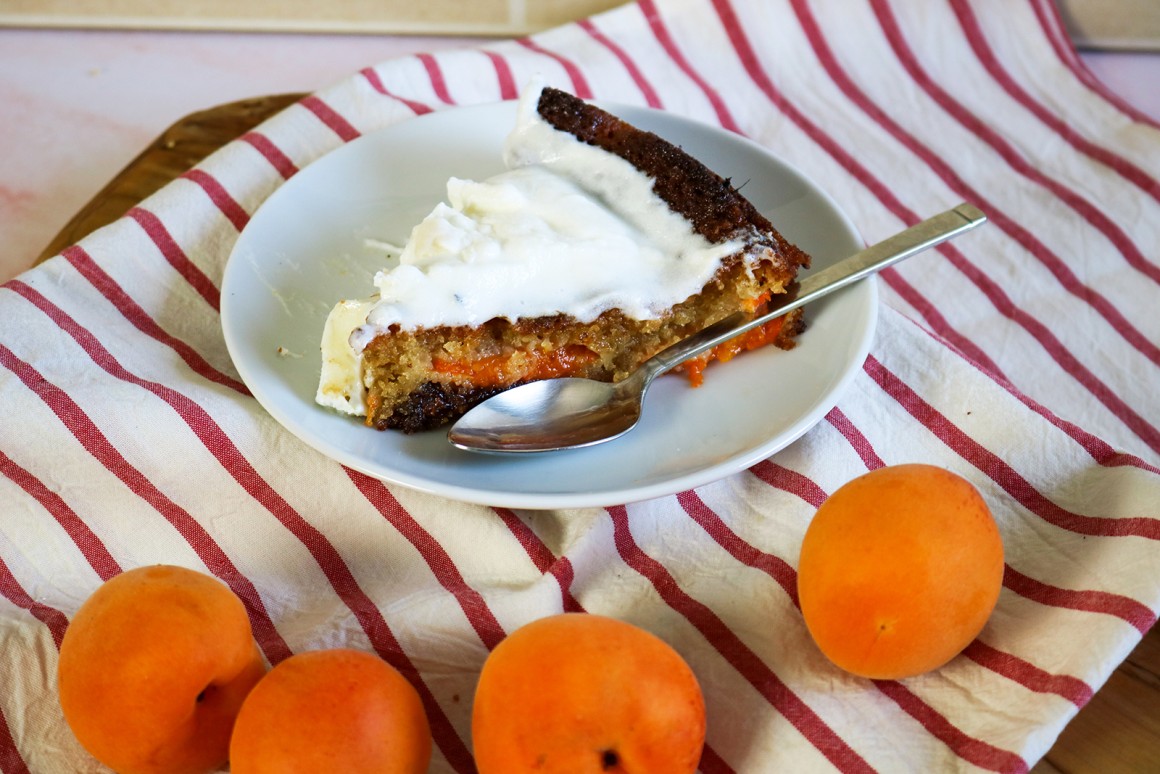 Aprikosen-Schoko-Torte