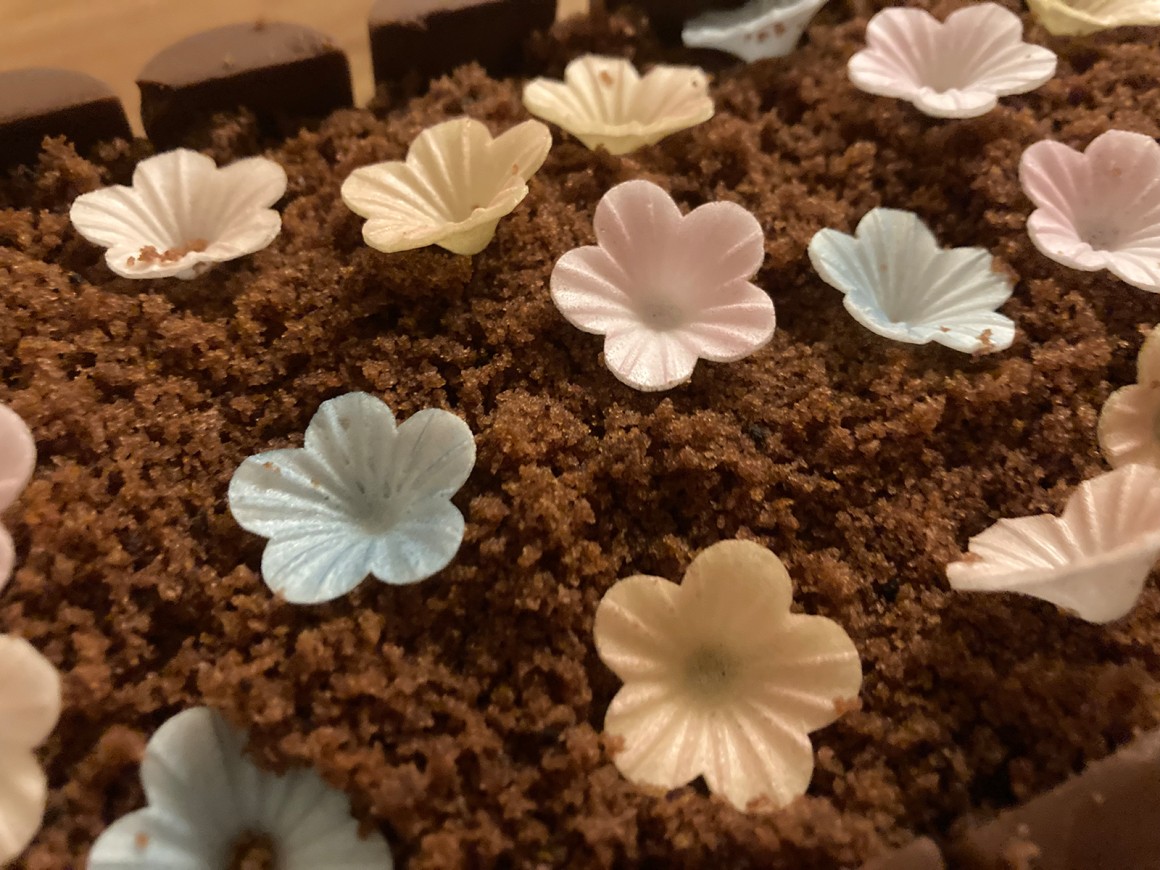Blumenerde-Kuchen