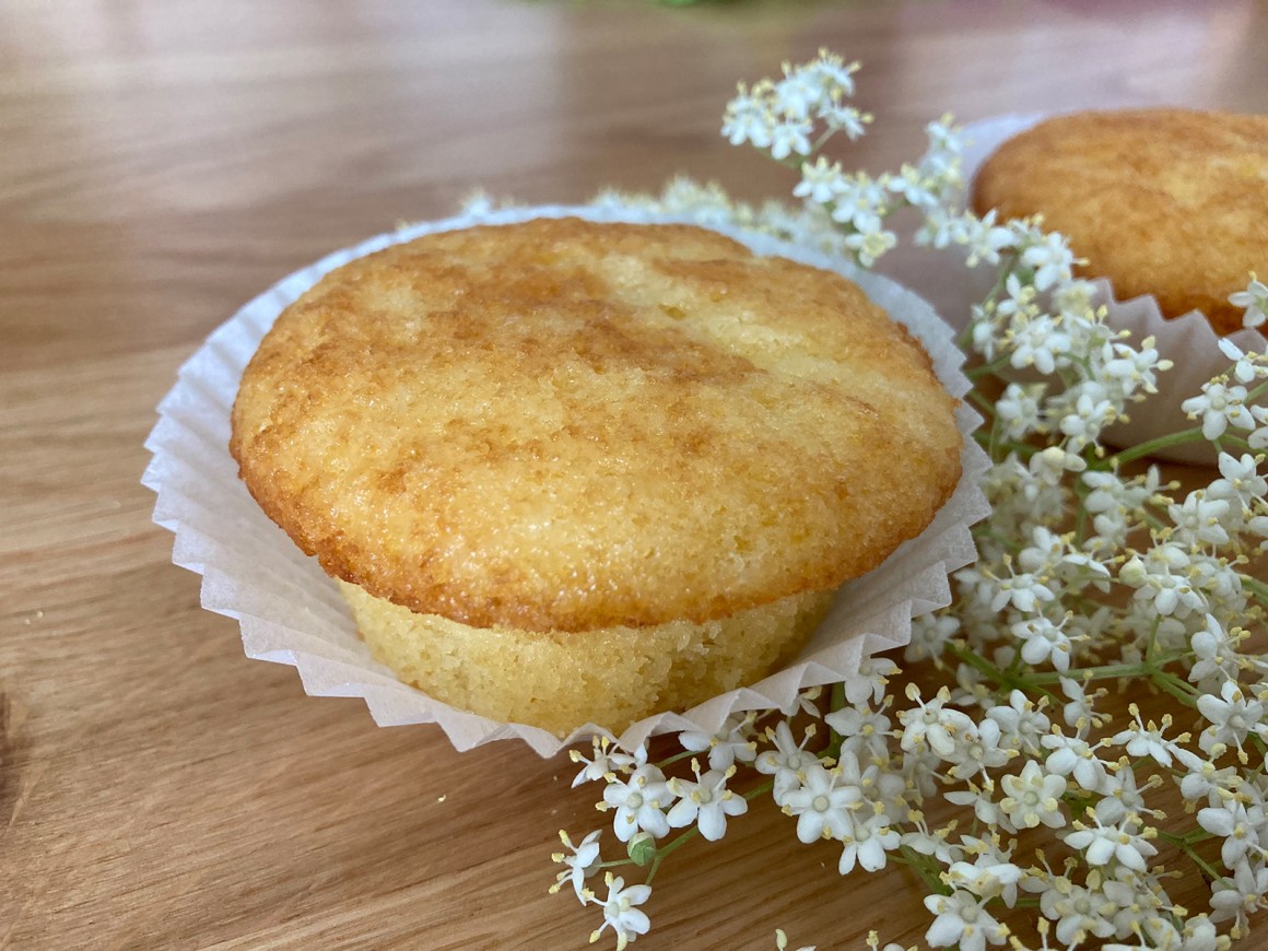 Holunder-Muffins