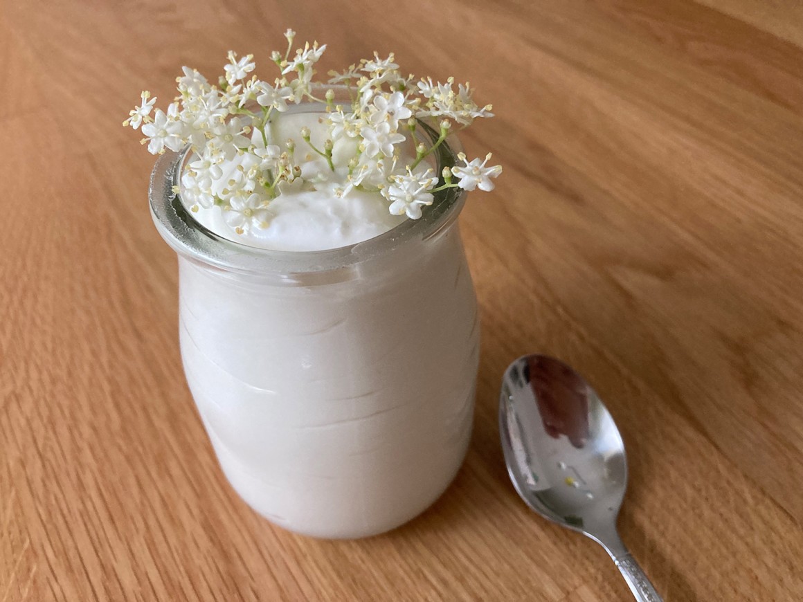 Holunderblütenmousse