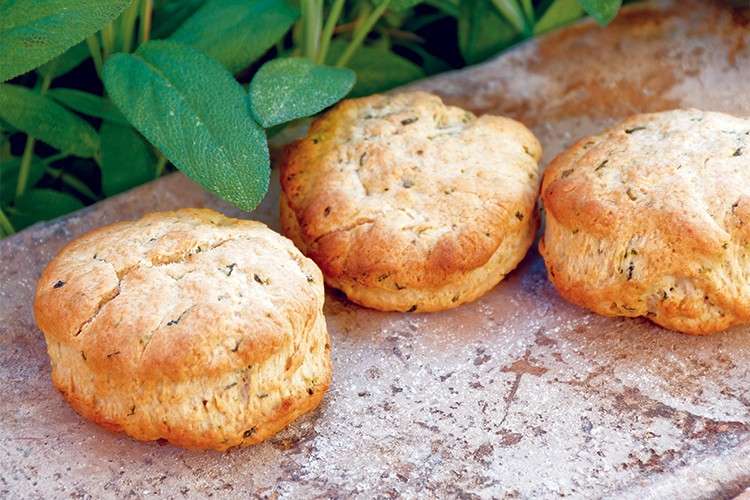 Biscotti alla salvia - Salbeiplätzchen