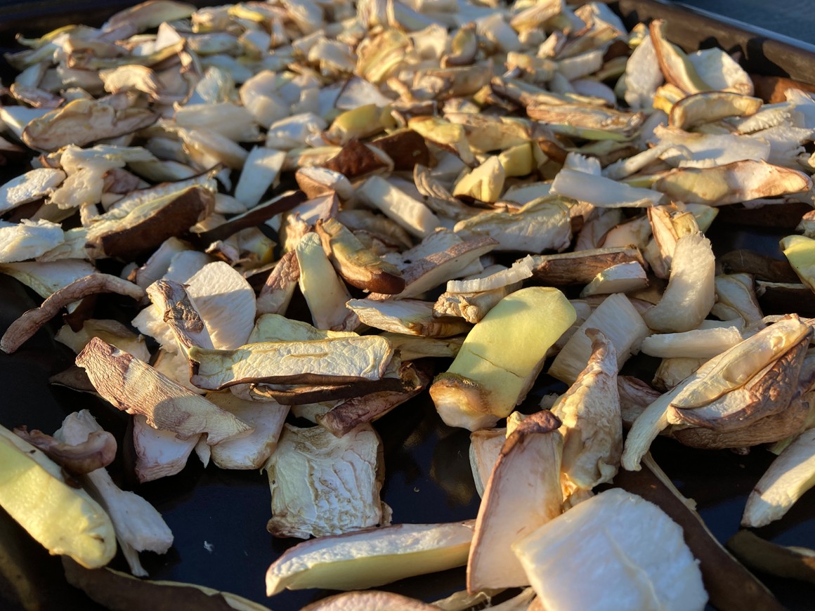 Steinpilze trocknen - Rezept