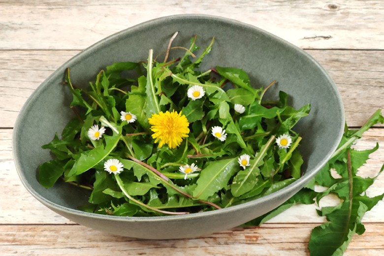 Löwenzahnsalat mit Speck und Kartoffeln - Rezept