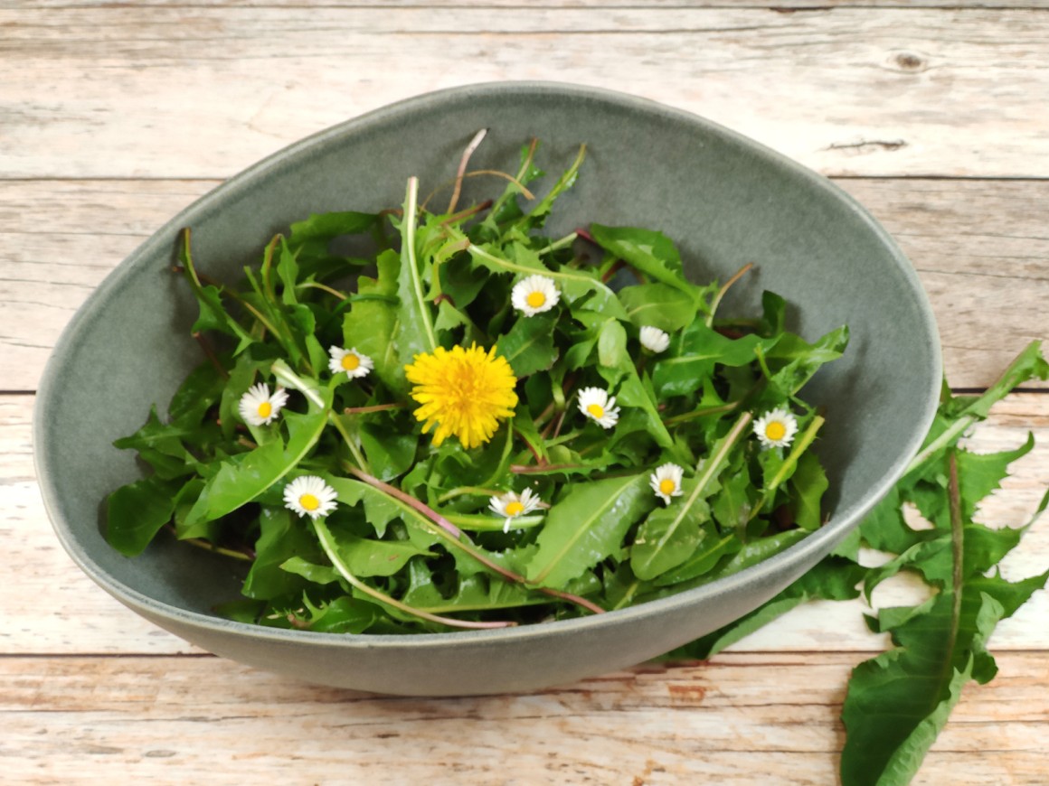 Löwenzahnsalat mit Gänseblümchen - Rezept