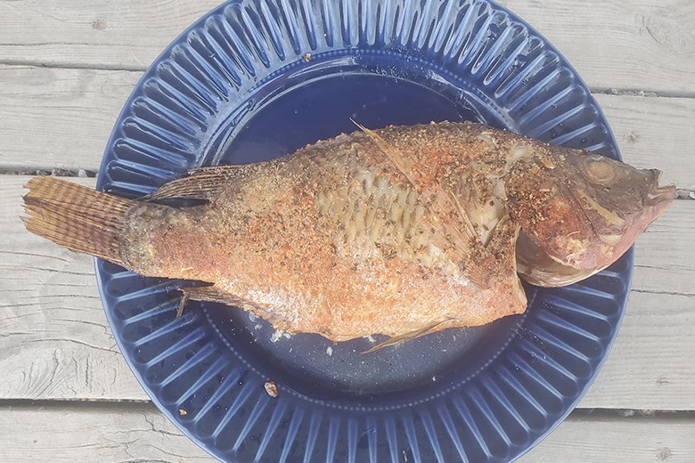 Geräucherter Tilapia