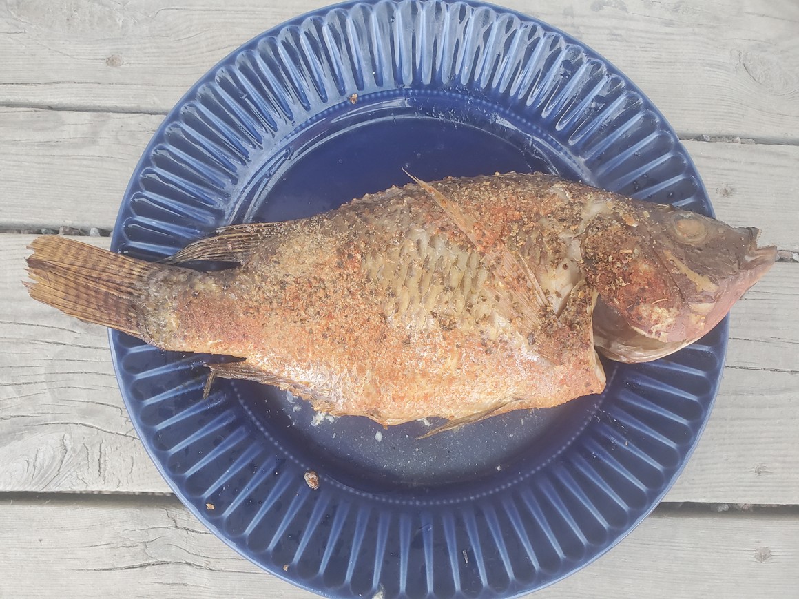Geräucherter Tilapia