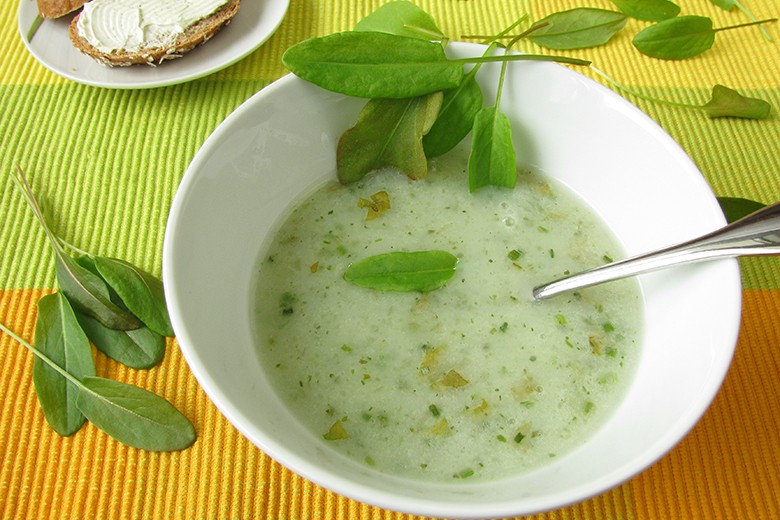 Cremige Sauerampfer-Suppe