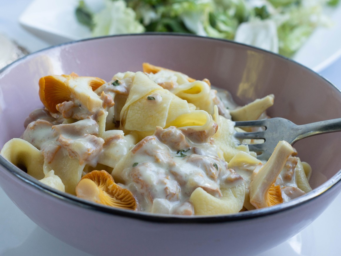 Rahmpfifferlinge mit Bandnudeln