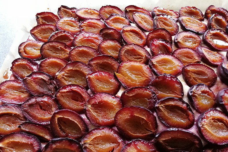 Pflaumenkuchen mit Quark-Öl-Teig