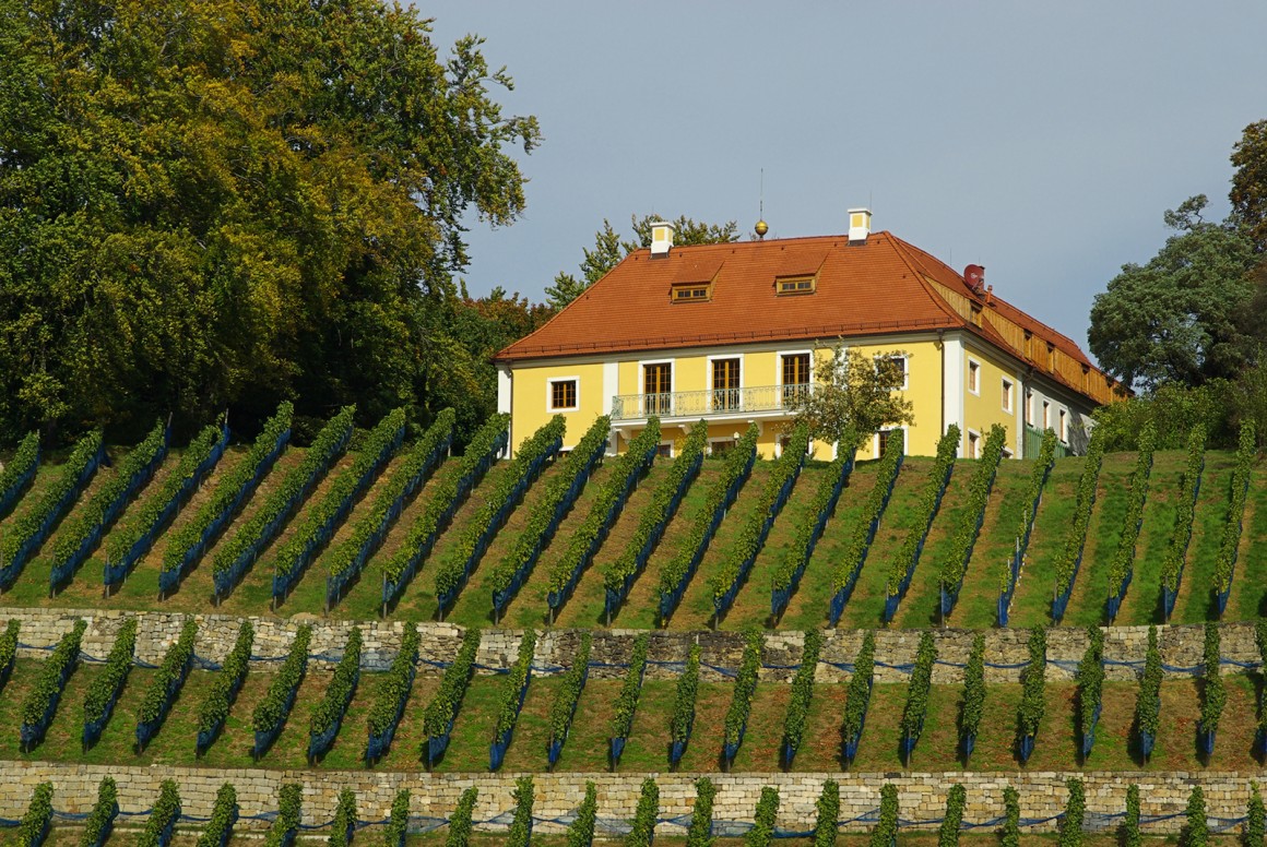 Sachsen ist das kleinste Anbaugebiet Deutschlands mit Dresden als Zentrum der Sächsischen Weinstraße.