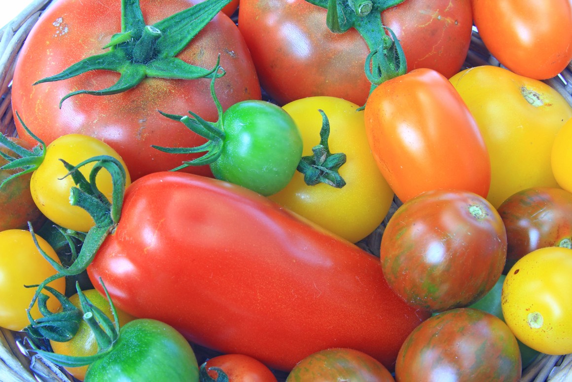 Genuss ohne Langeweile - Tomaten sind in vielen verschiedenen Farben und Formen erhältlich.