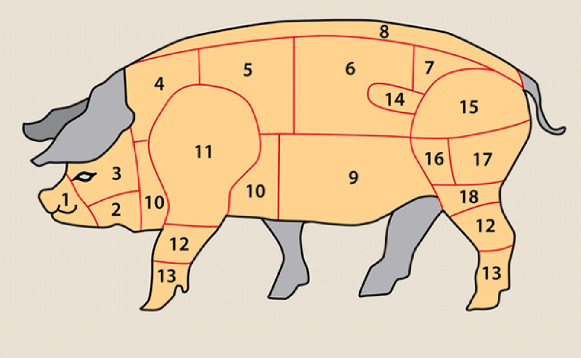 Übersicht der wichtigsten Schweineteile für die Verwendung in der Küche.