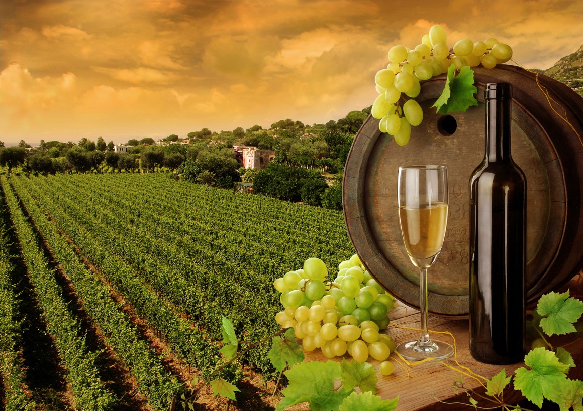 Weinland Italien - italienische Weine