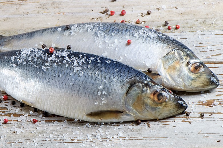 Hering ist ein sehr beliebter und gesunder Fisch, der hierzulande sehr häufig auf den Tisch kommt.