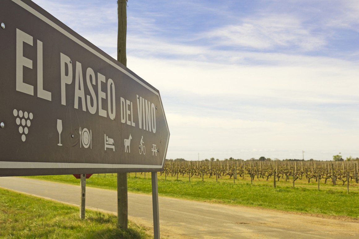 Weinland Uruguay - Wein aus Uruguay